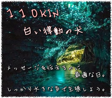 110KIN