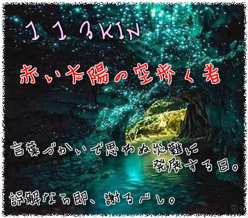 113KIN