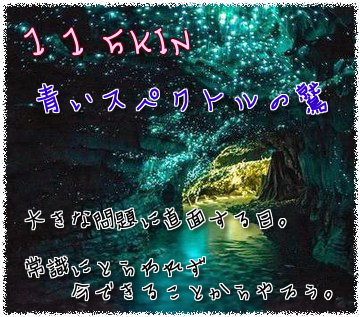 115KIN