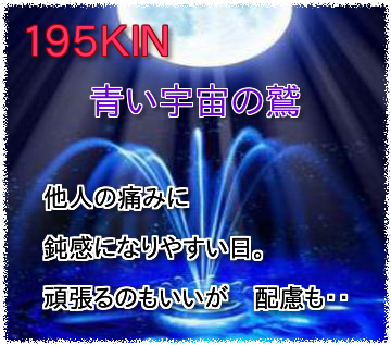 195kin