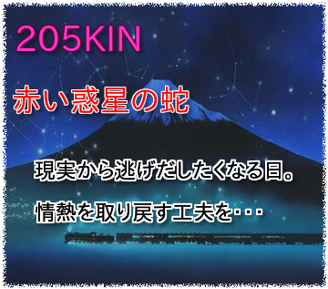 205KIN