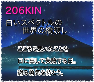 206KIN