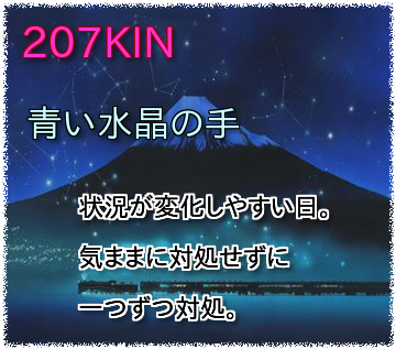 207KIN