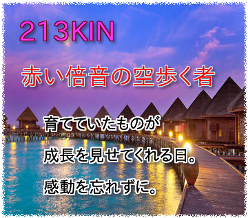 213KIN