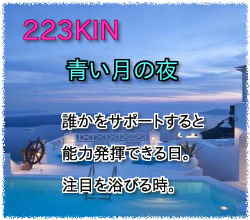 223KIN
