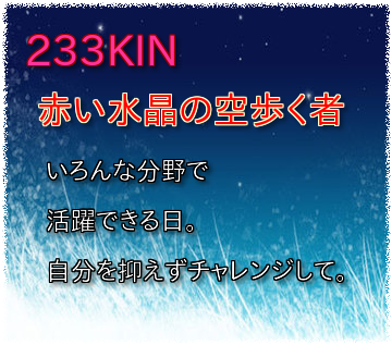 233KIN