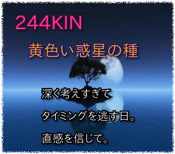 244KIN