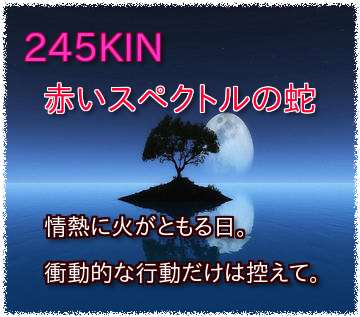 245KIN