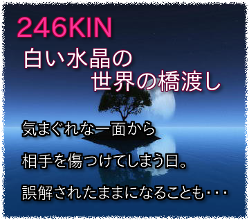 246KIN