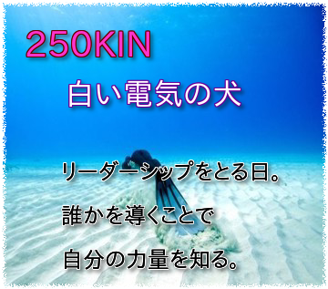250KIN