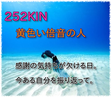 252KIN