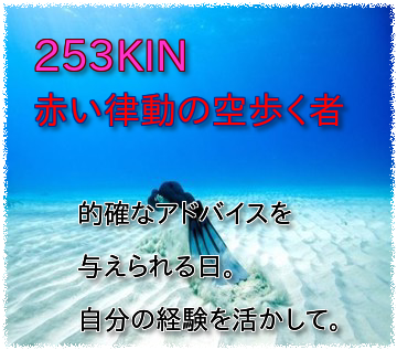 253KIN