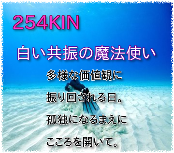 254KIN