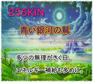 255KIN