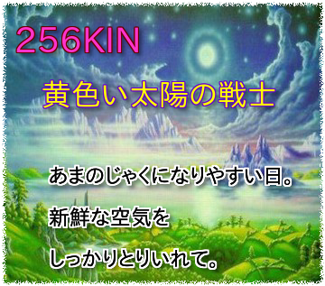 256KIN